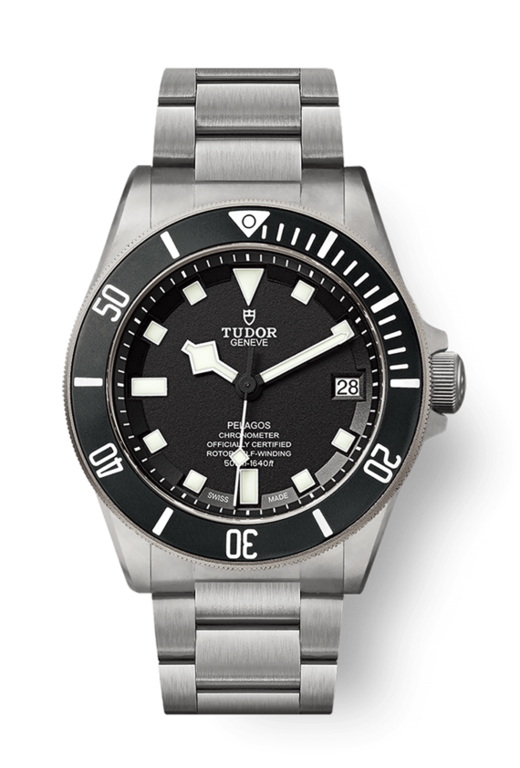 Tudor Pelagos 25600TN