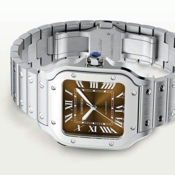 Cartier Santos Brown Medium - immagine 2