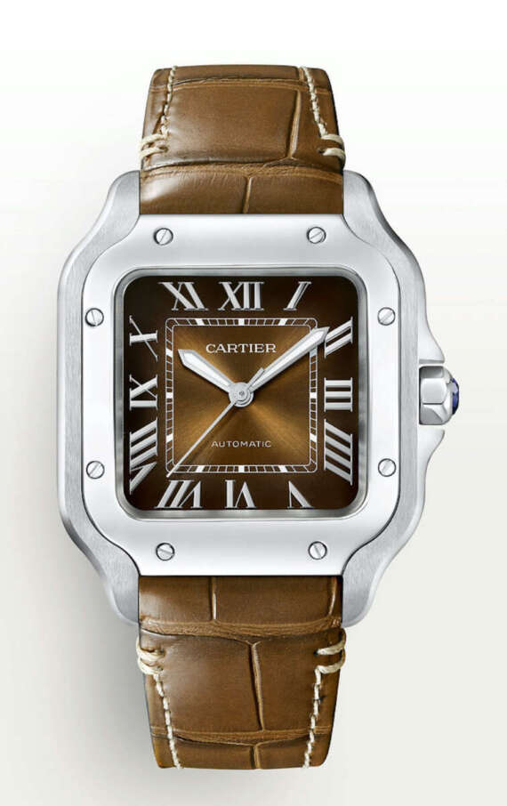 Cartier Santos Brown Medium - immagine 4