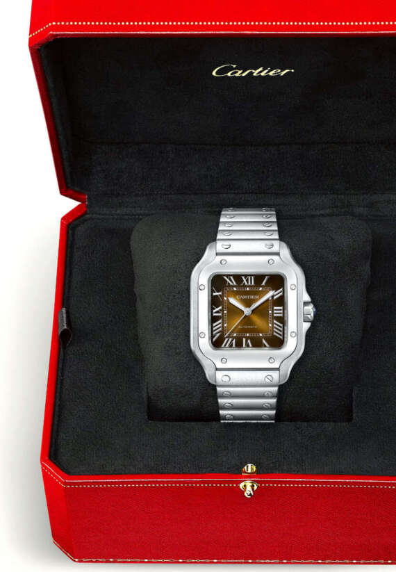 Cartier Santos Brown Medium - immagine 5