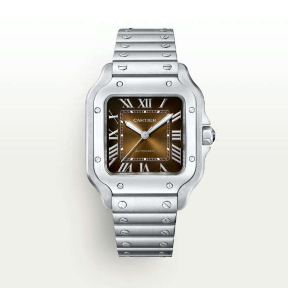 Cartier Santos Brown Medium