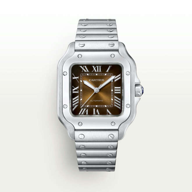 Cartier Santos Brown Medium