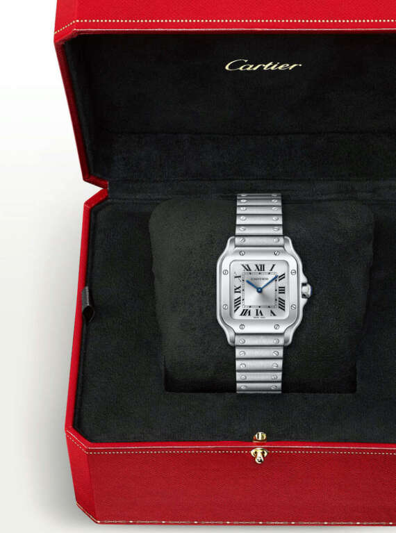 Cartier Santos De Cartier Small - immagine 6