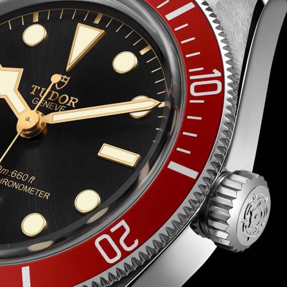 Tudor Black Bay 7941A1A0RU-0003 - immagine 3